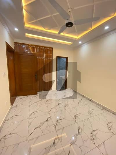 Brand New Basement For Rent