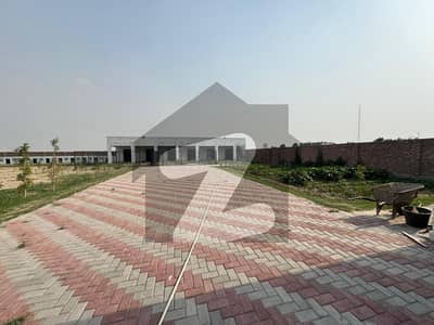 برکی