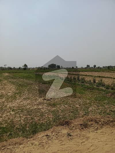 FARM