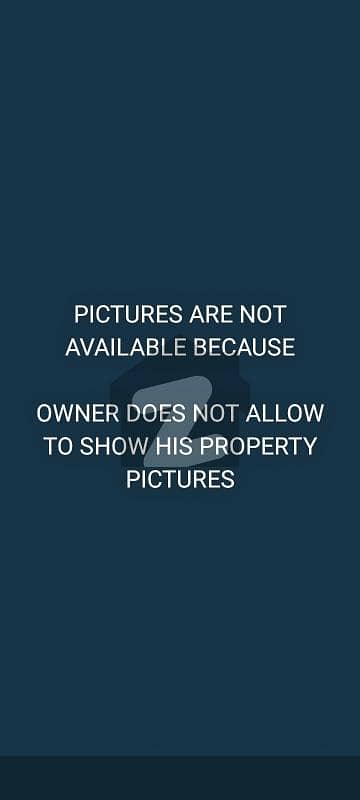 FLAT FOR RENT FLAT FOR RENT