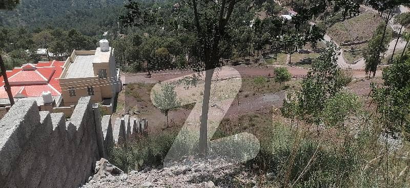 5 Marla commercial plot for sale in Murree Expressway posession ready 5 Marla commercial plot for sale in Murree Expressway posession ready