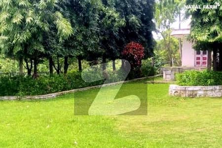 ناول فارمز ہاؤسنگ سکیم اسلام آباد میں 5 کنال رہائشی پلاٹ 6.7 کروڑ میں برائے فروخت۔