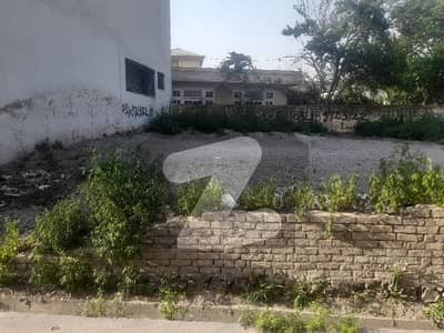 حسن