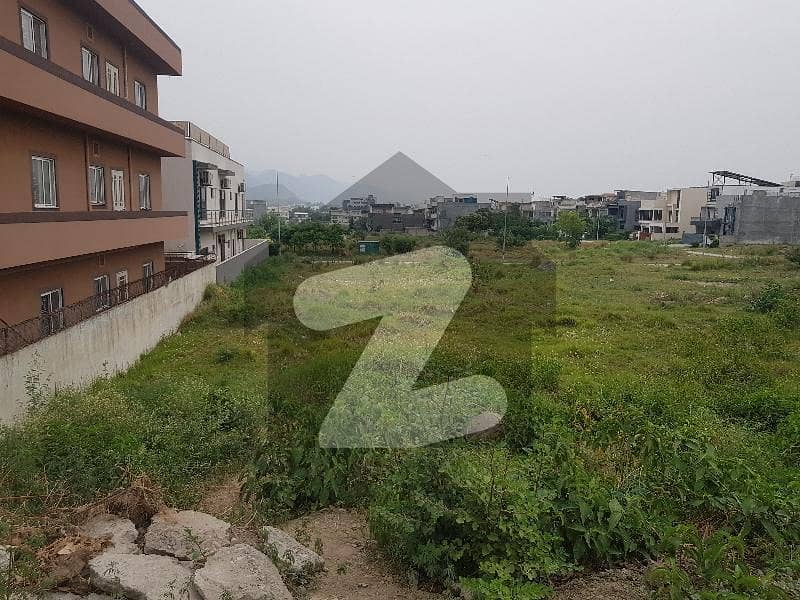 50*90 Plot For Sale In D12 50*90 Plot For Sale In D12