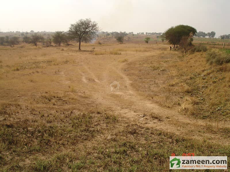 70 Kanal Agricultural Land For Sale - Near Chak Beli Khan Road 70 Kanal Agricultural Land For Sale - Near Chak Beli Khan Road