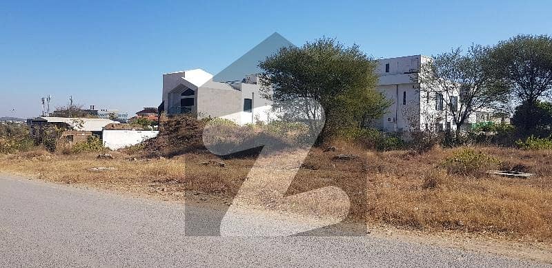 35X70 BACK OPEN PLOT FOR SALE EXTRA LAND 35X70 BACK OPEN PLOT FOR SALE EXTRA LAND