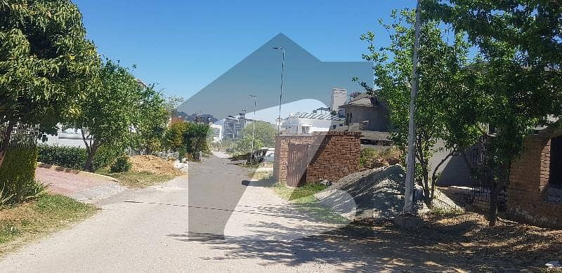 50X90 PLOT NEAR MARKAZ PLOT NO. 1? FOR SALE 50X90 PLOT NEAR MARKAZ PLOT NO. 1? FOR SALE