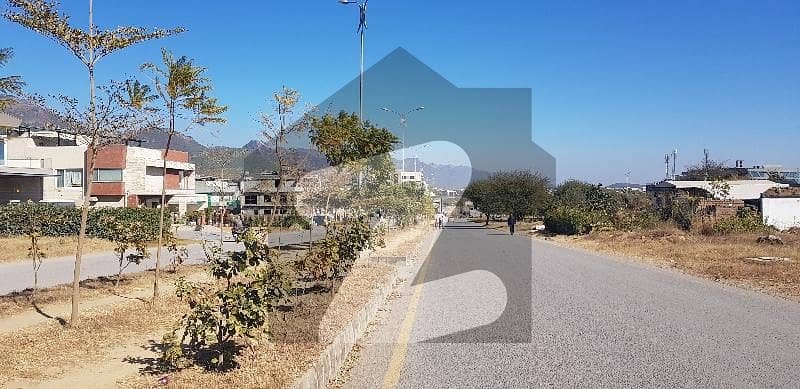 25X50 MAIN DOUBLE ROAD PLOT FOR SALE 25X50 MAIN DOUBLE ROAD PLOT FOR SALE