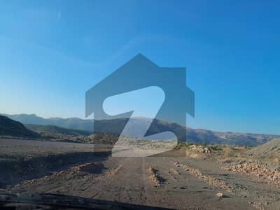 سی