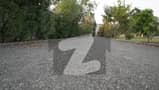 26 
