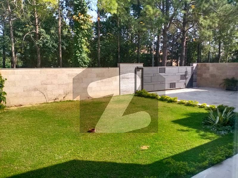 Park Facing E7 Fully Renovated House is for SALE Park Facing E7 Fully Renovated House is for SALE