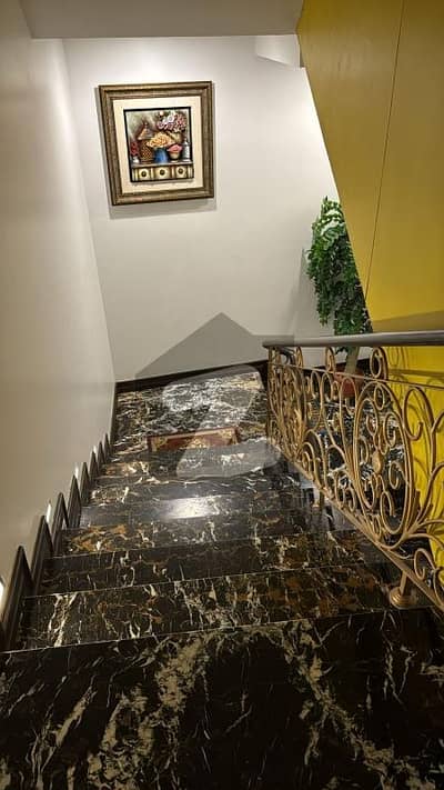 ڈی