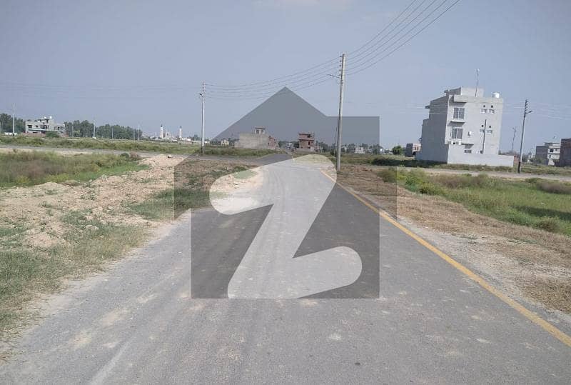 20 