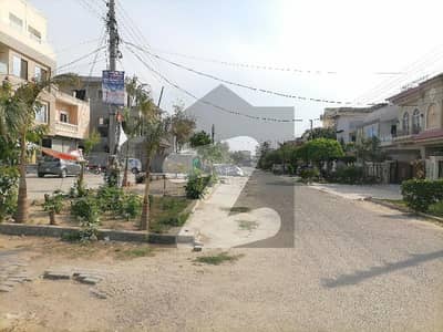 فارمینیٹی