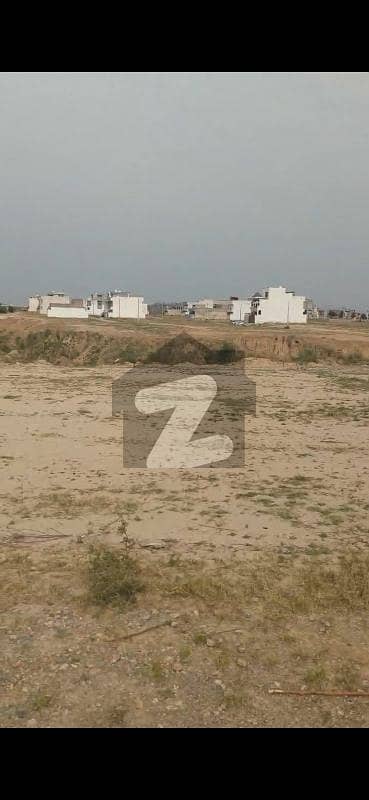 5 Marla Pair Plot Available In New City Phase2 Q Block Street 18c 5 Marla Pair Plot Available In New City Phase2 Q Block Street 18c