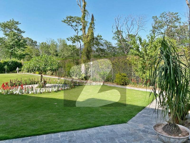 EXTRA LAND Old Livable House is for SALE EXTRA LAND Old Livable House is for SALE