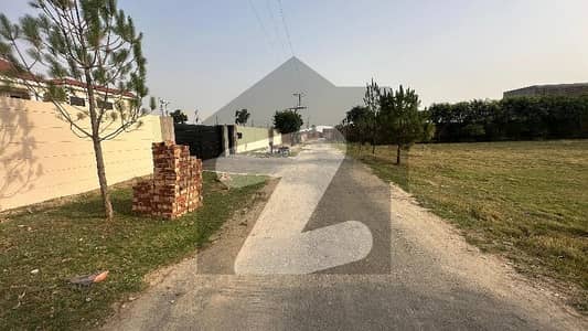 بیدیاں