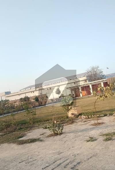 ایمن