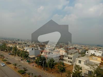 ٹیلی