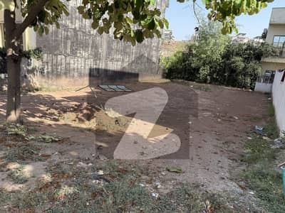 بحریہ