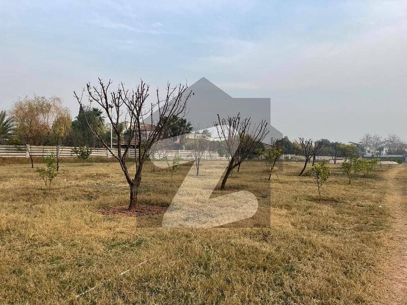 Service Road Orchard Farm House For Sale