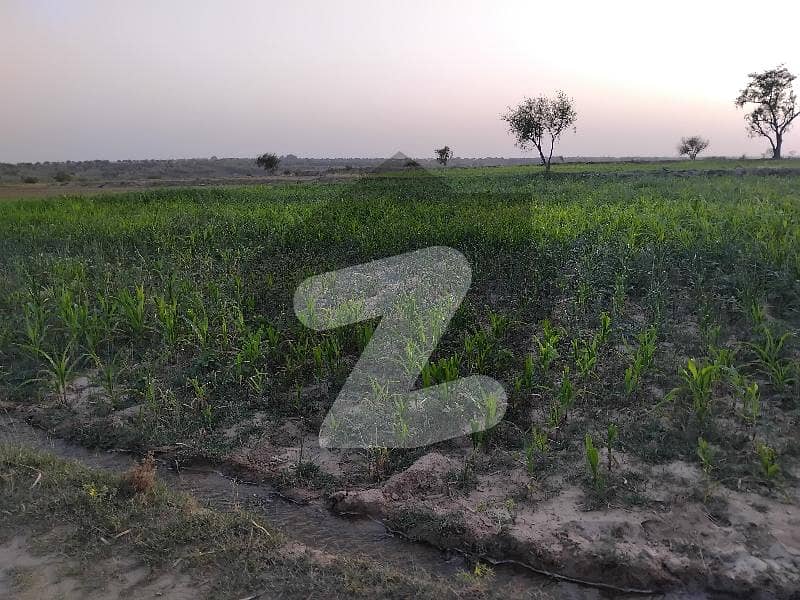راولپنڈی روڈ چکوال میں 1300 کنال زرعی زمین 26.0 کروڑ میں برائے فروخت۔ راولپنڈی روڈ چکوال میں 1300 کنال زرعی زمین 26.0 کروڑ میں برائے فروخت۔