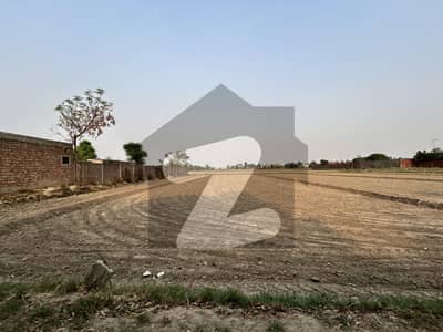 برکی