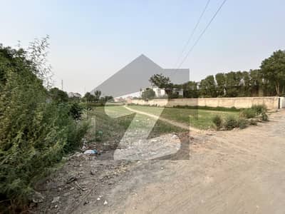 صوفیہ