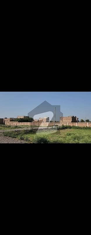 بدھنی