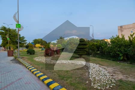 20