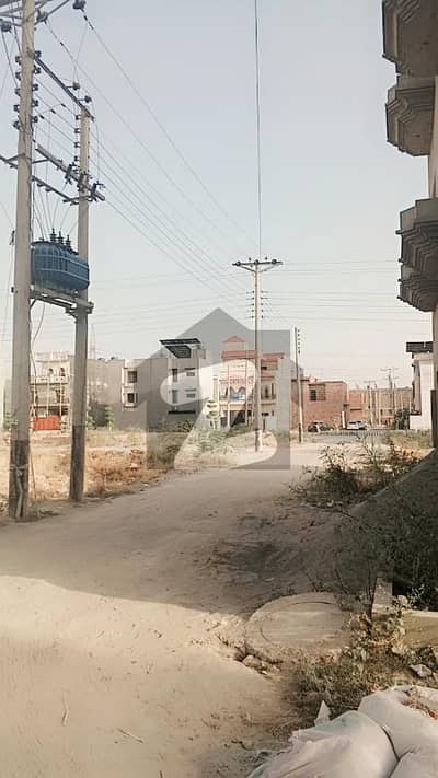 شاہد