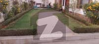 26 