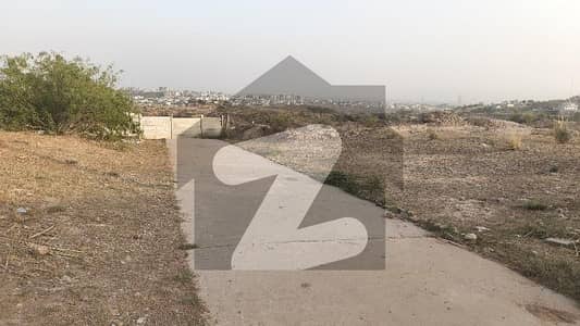 گلشن