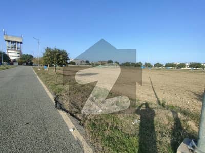 Near
