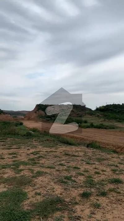 سی