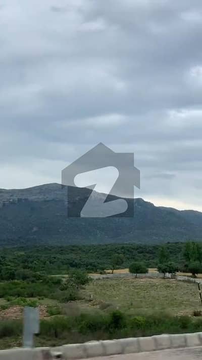 سی