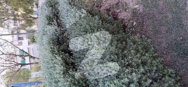 5 Marla Plot Solid South Face And Heighted In Bloc G Is Available For Sale
