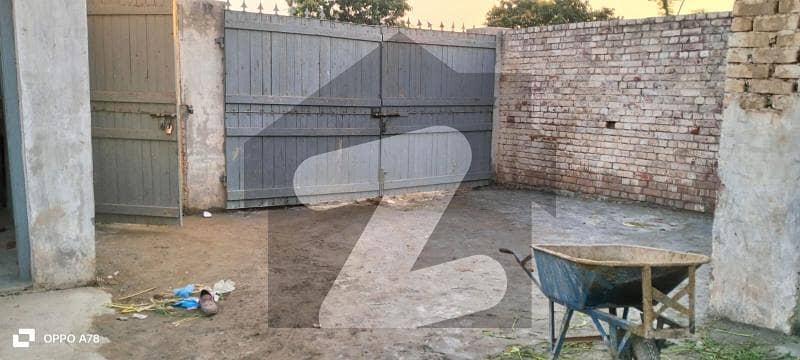8000 Square Feet Dairy Farm Is Available For Rent In Kot Radha Kishan Kasur 8000 Square Feet Dairy Farm Is Available For Rent In Kot Radha Kishan Kasur