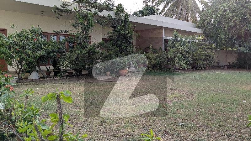 24 