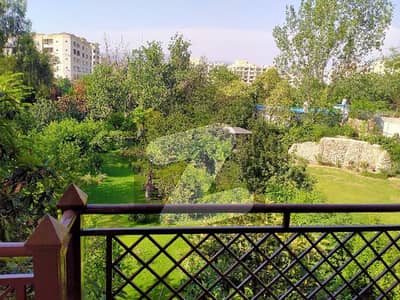 ایف