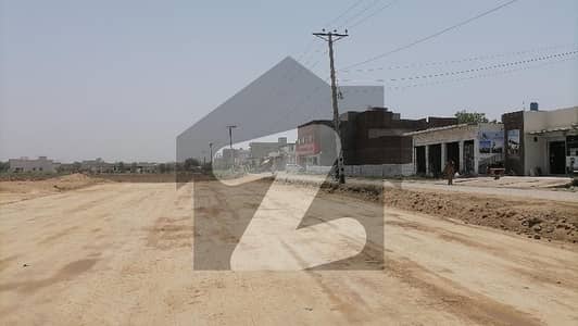 اویسس