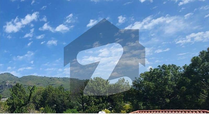 E-7 Best Location Posh Area Plot 50x90 500 Square Yard For Sale E-7 Best Location Posh Area Plot 50x90 500 Square Yard For Sale