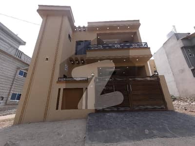 صنوبر