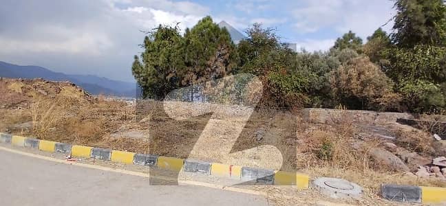 بنی
