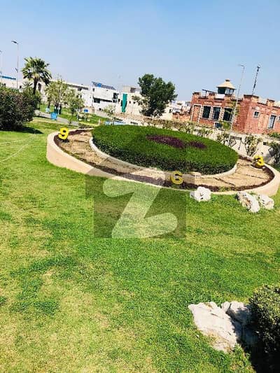 سٹی