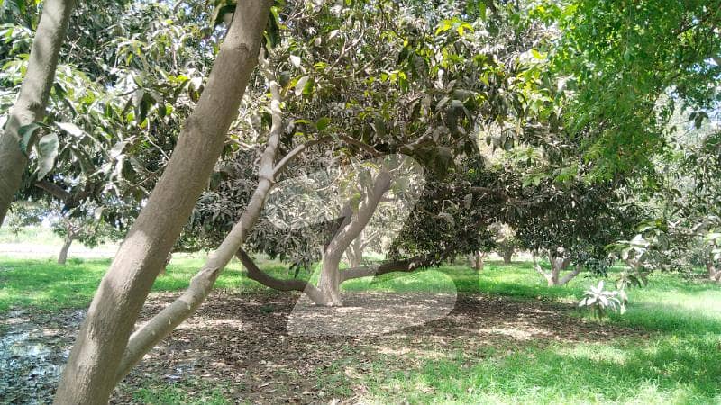LAND FOR SALE - ATTOCK PETROLEUM LIMITED LAND FOR SALE - ATTOCK PETROLEUM LIMITED