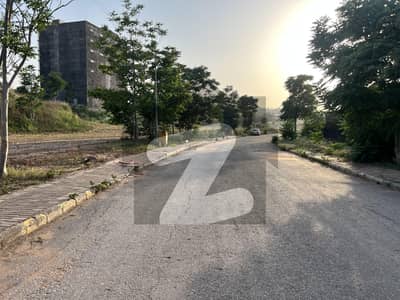 ڈی