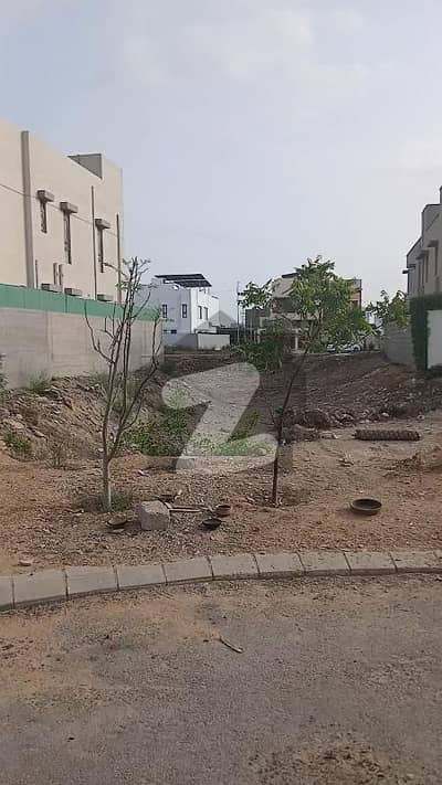 ڈی