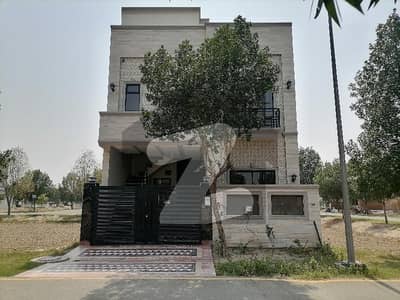 سٹی