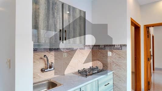 Brand New 5 Bedroom Full Basement + Solar
